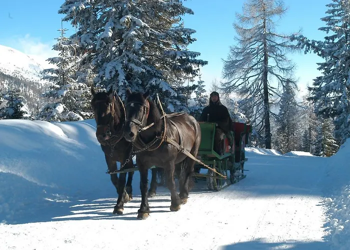 Apartamento Lieserhaus