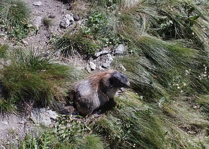 Lieserhaus * Rennweg am Katschberg